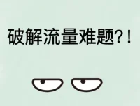 破解流量难题：私域流量池构建与营销引流秘籍