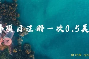 国外注册项目：三分钟0.5美金，可批量操作的小白福利