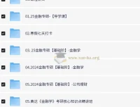 2025掌成金融学考研课程