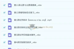 丁芝初二化学8升9春衔秋目标A+课程（全国通用）