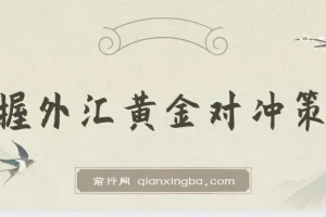 外汇黄金对冲投资策略：小众高回报创业机遇