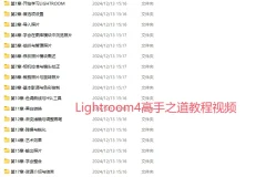 Lightroom4高手之道教程视频
