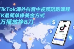 TikTok海外抖音中视频陪跑课程：TK AI玩法轻松挣美金