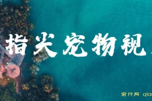 指尖宠物视频课程：AI生成可爱宠物视频