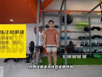 小萝卜四分化高阶健身课程：全年增肌周期训练方案