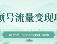 视频号流量变现项目：简单易上手的小而美收益玩法
