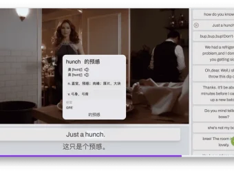 DashPlayer 视频播放器：助力英语学习的实用工具