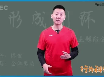 陈金羽毛球教学全集：入门到实战技巧