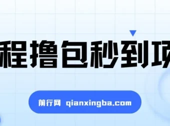 携程撸包秒到项目：单机收益可观的手动操作项目