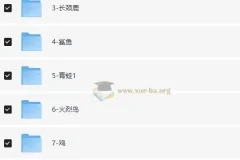 幼儿小学英语基础版思维导图学习资源