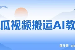 西瓜视频搬运AI教程：引流高质量创业粉，实现日变现1k+【揭秘】