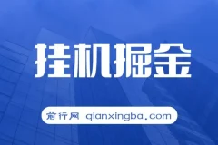 挂机掘金项目：适合宝爸宝妈与学生党的轻松赚钱方式