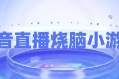 抖音烧脑小游戏直播项目：宝妈与上班族的副业之选