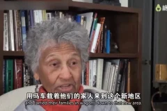 糖心理《跟创始人学家谱图：家谱图的绘制及应用》21讲视频课程