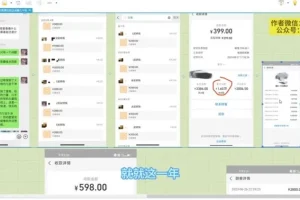 国学暴利蓝海项目课程：靠复购月入6k
