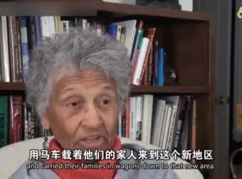 糖心理《跟创始人学家谱图：家谱图的绘制及应用》21讲视频课程