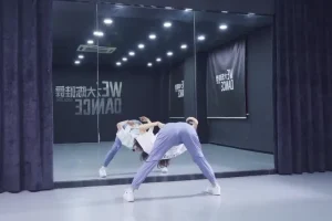 大陈爵士舞系统课：347节初中高全阶训练与热门舞段教学