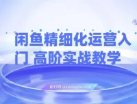 闲鱼精细化运营：入门与高阶实战教学，闲鱼卖货整体运营思路课程