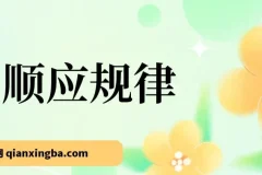 顺应规律：把握十年一遇市场机遇，转换思维明确方向