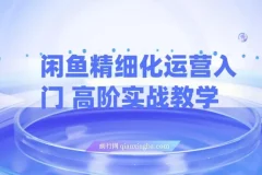 闲鱼精细化运营：入门与高阶实战教学，闲鱼卖货整体运营思路课程