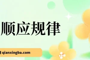 顺应规律：把握十年一遇市场机遇，转换思维明确方向