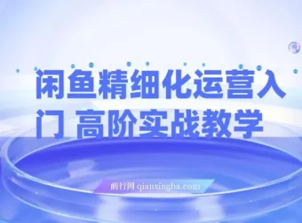 闲鱼精细化运营：入门与高阶实战教学，闲鱼卖货整体运营思路课程