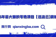 2025零撸项目：迅流云，手机连WiFi自动挂机