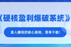 《硬核盈利爆破系统》：洞悉赚钱核心真相