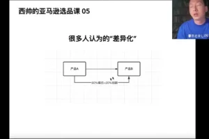 西帅亚马逊选品实战课：聚焦低成本高转化策略