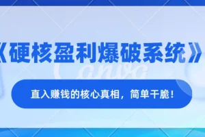 《硬核盈利爆破系统》：洞悉赚钱核心真相