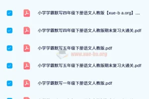 2024春小学学霸天天默写：人教版语英同步练习资料