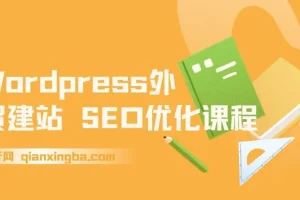 WordPress外贸建站与SEO优化课程：0基础搭建获询盘外贸网站
