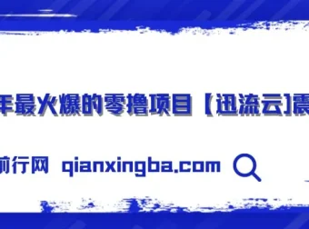 2025零撸项目：迅流云，手机连WiFi自动挂机