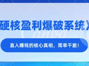 《硬核盈利爆破系统》：洞悉赚钱核心真相