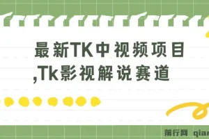 最新TK中视频项目：Tk影视解说赛道搬运二创暴力起号指南
