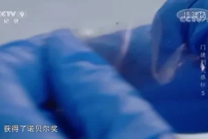 《门捷列夫很忙》：儿童化学启蒙优质纪录片全集