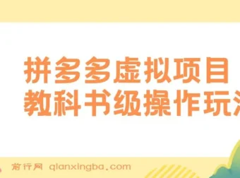 拼多多店铺虚拟项目：教科书式操作玩法