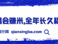 演唱会赚米项目：娱乐行业新风口，高利润上手快