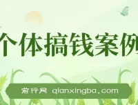 新个体搞钱案例库：29节视频+文档，教你赚到第一个100w