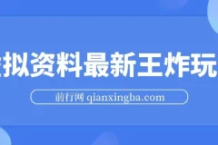 虚拟资料最新王炸玩法：自动闭环成交，小白可操作