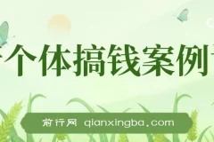 新个体搞钱案例库：29节视频+文档，教你赚到第一个100w