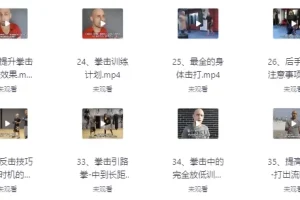 杰森拳击高清系统教学（中英字幕）