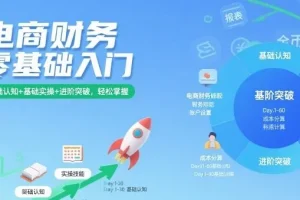 电商财务零基础入门课程：基础认知、实操与进阶突破