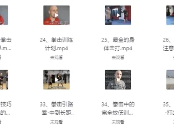 杰森拳击高清系统教学（中英字幕）