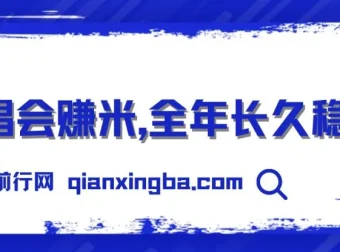 演唱会赚米项目：娱乐行业新风口，高利润上手快