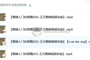 《王元围棋视频讲座：围棋入门快易精》