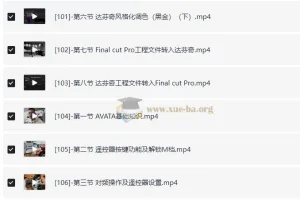 简单入门无人机航拍教程：全面掌握航拍与后期技巧