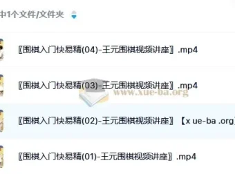 《王元围棋视频讲座：围棋入门快易精》