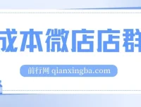 0成本微店店群课程