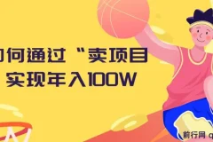 2024年：通过“卖项目”实现年入100W的策略分享